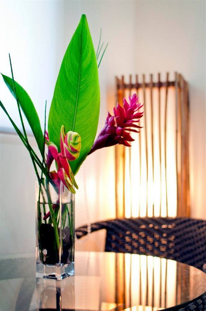 Natures Garden Park Resort And Spa Lapu-Lapu City Zewnętrze zdjęcie